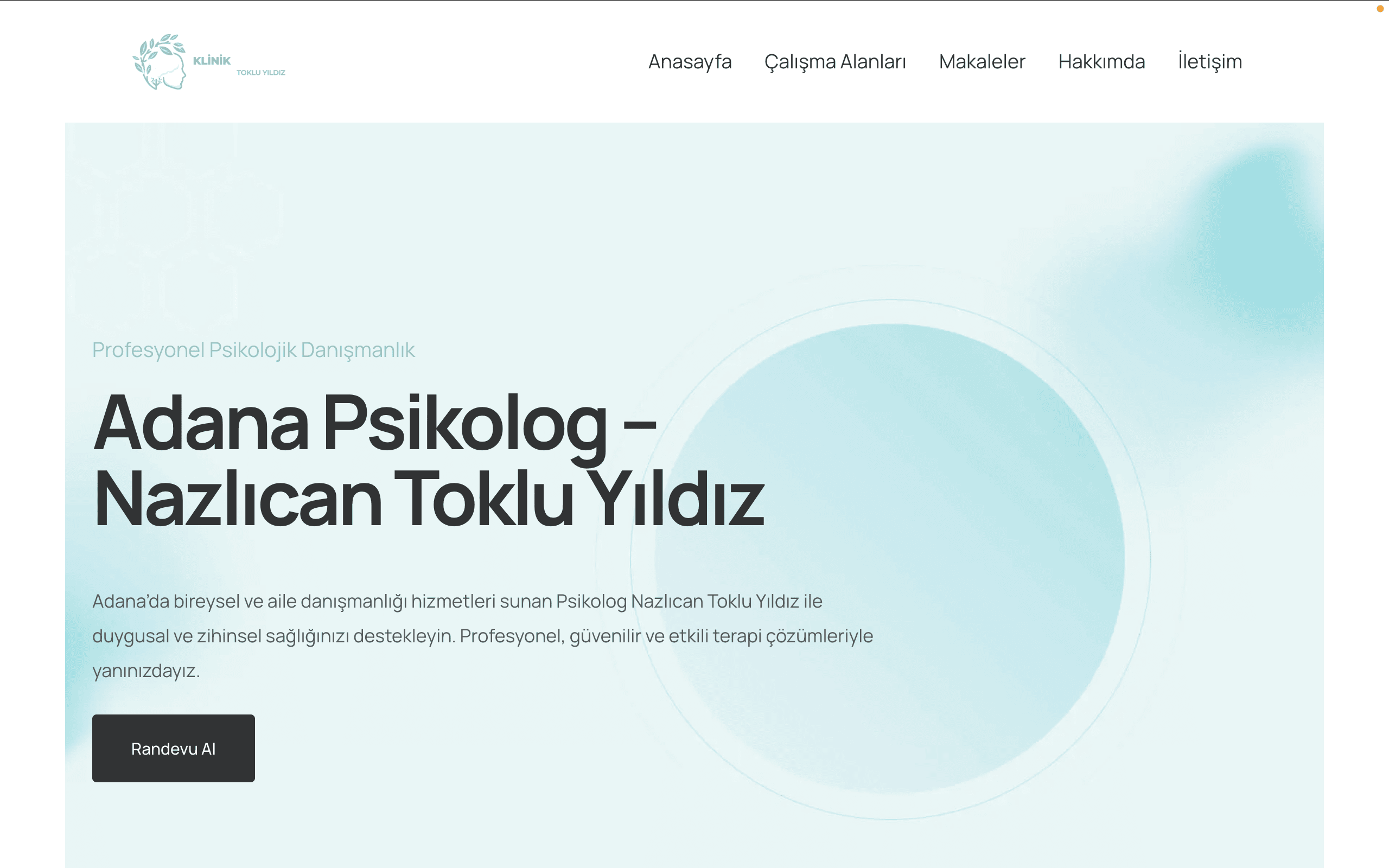 Psikolog Nazlıcan Toklu Yıldız Web Sitesi Çalışması Web Tasarım hizmeti