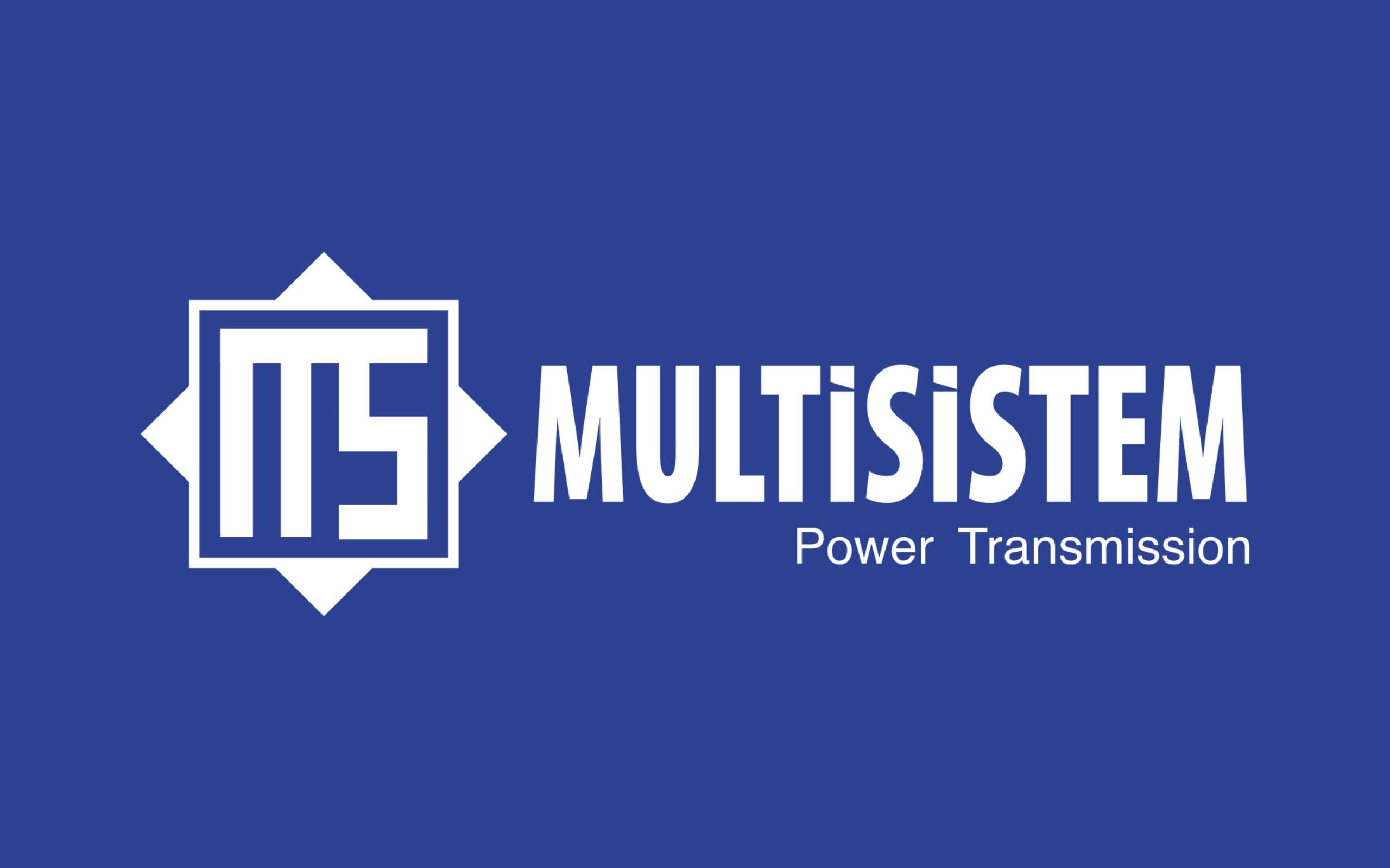 Multisistem Logo Çalışması Logo Tasarımı hizmeti
